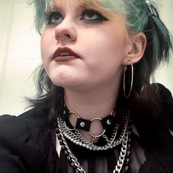 Meet your Posher, Jasper - Picture 4 of 7